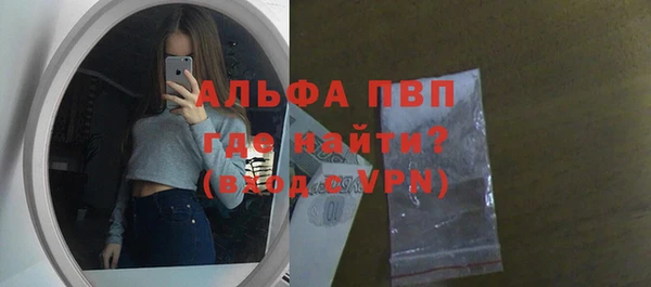 амф Елизово