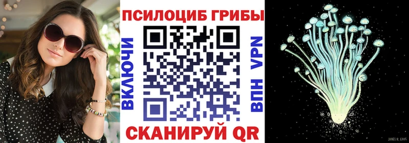 Псилоцибиновые грибы Psilocybe  Купить закладки  Избербаш 