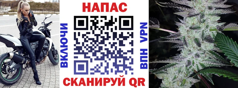 Марихуана OG Kush  Купить закладки  Избербаш 